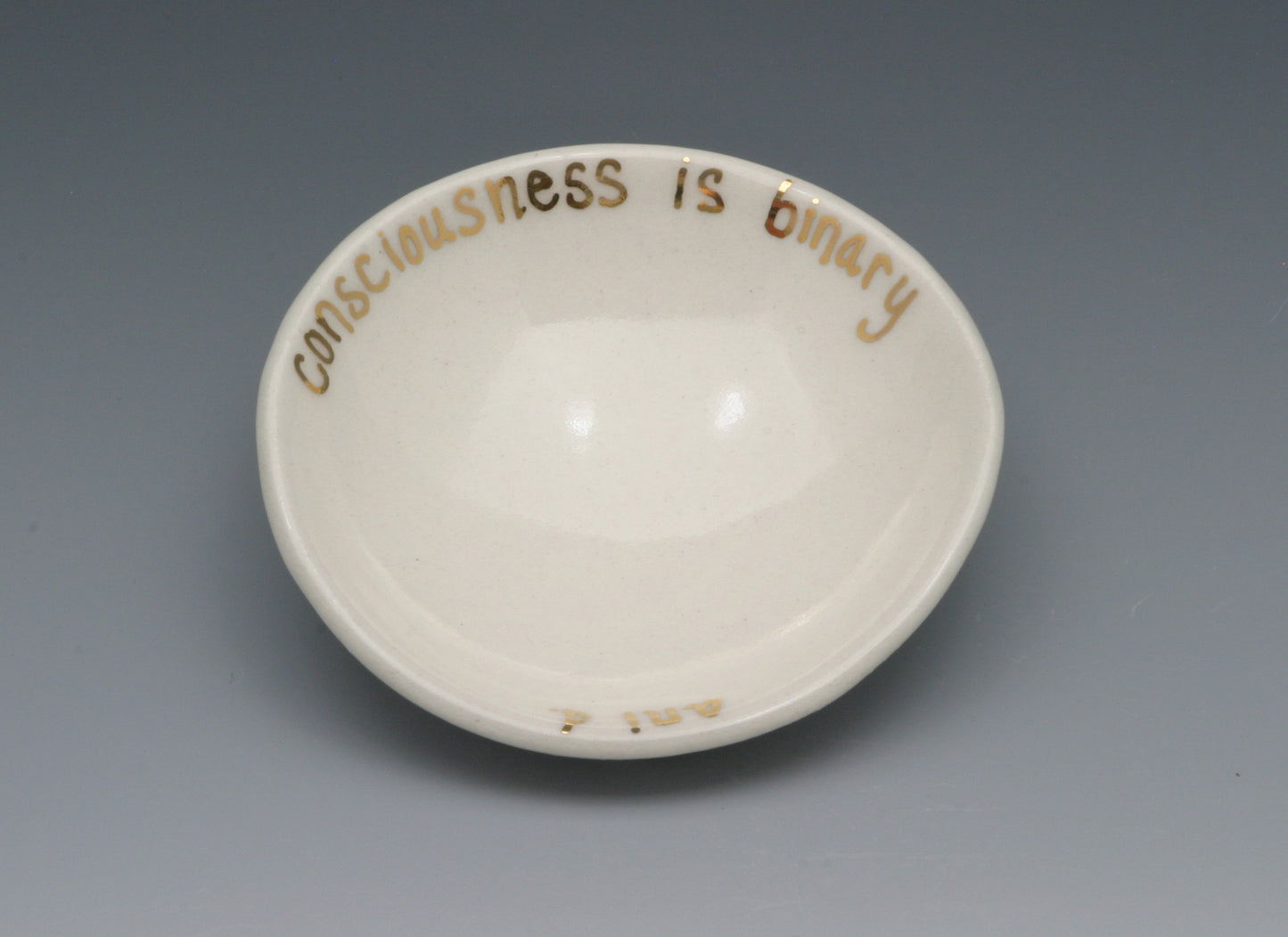 Consciousness is Binary Trinket Bowl